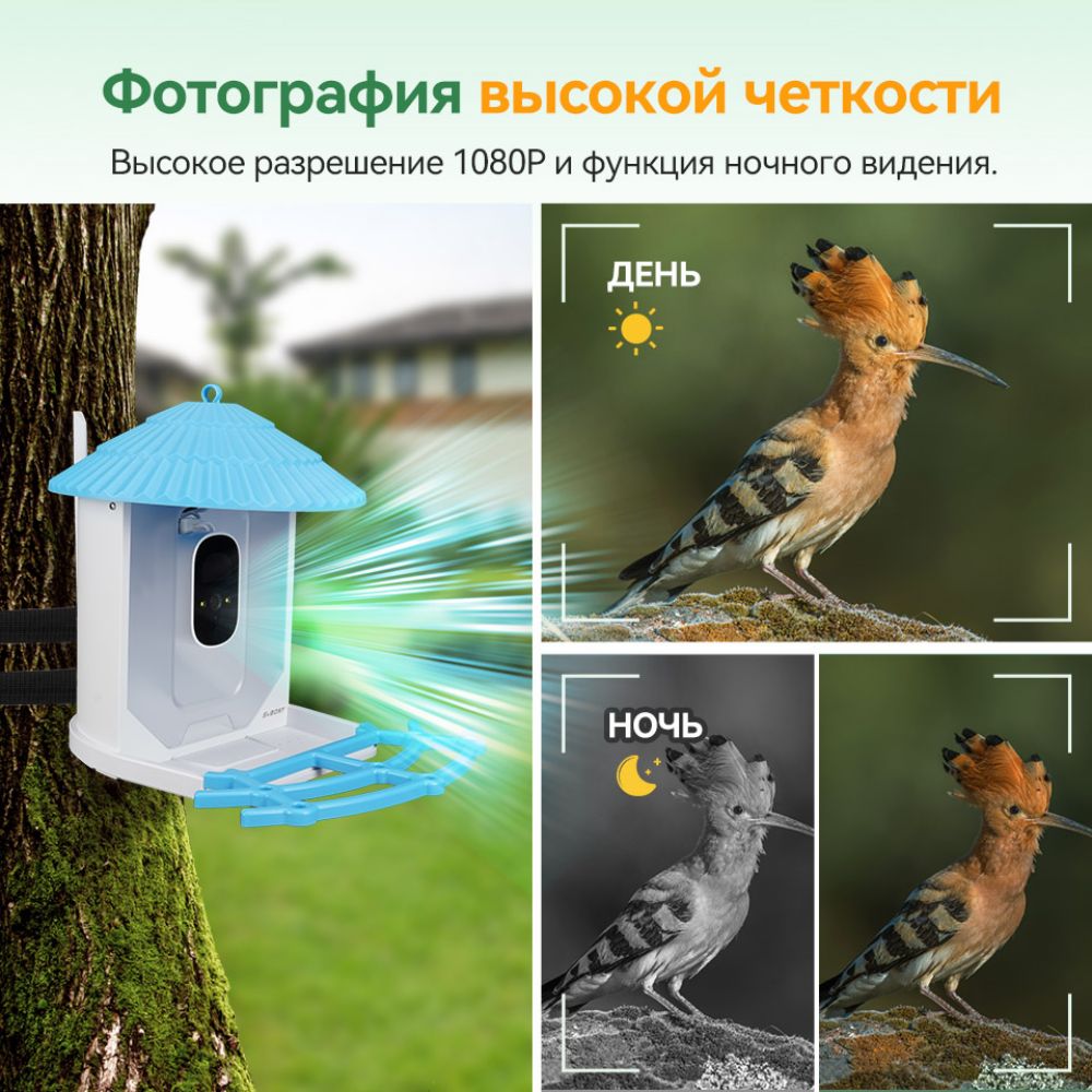 Умная кормушка для птиц, камерой 1080P, интеллектуальное распознавание распознает виды птиц, автоматически фиксирует и обнаруживает движение, Поддержка 2.4G Wi-Fi, IP66 водонепроницаемый
